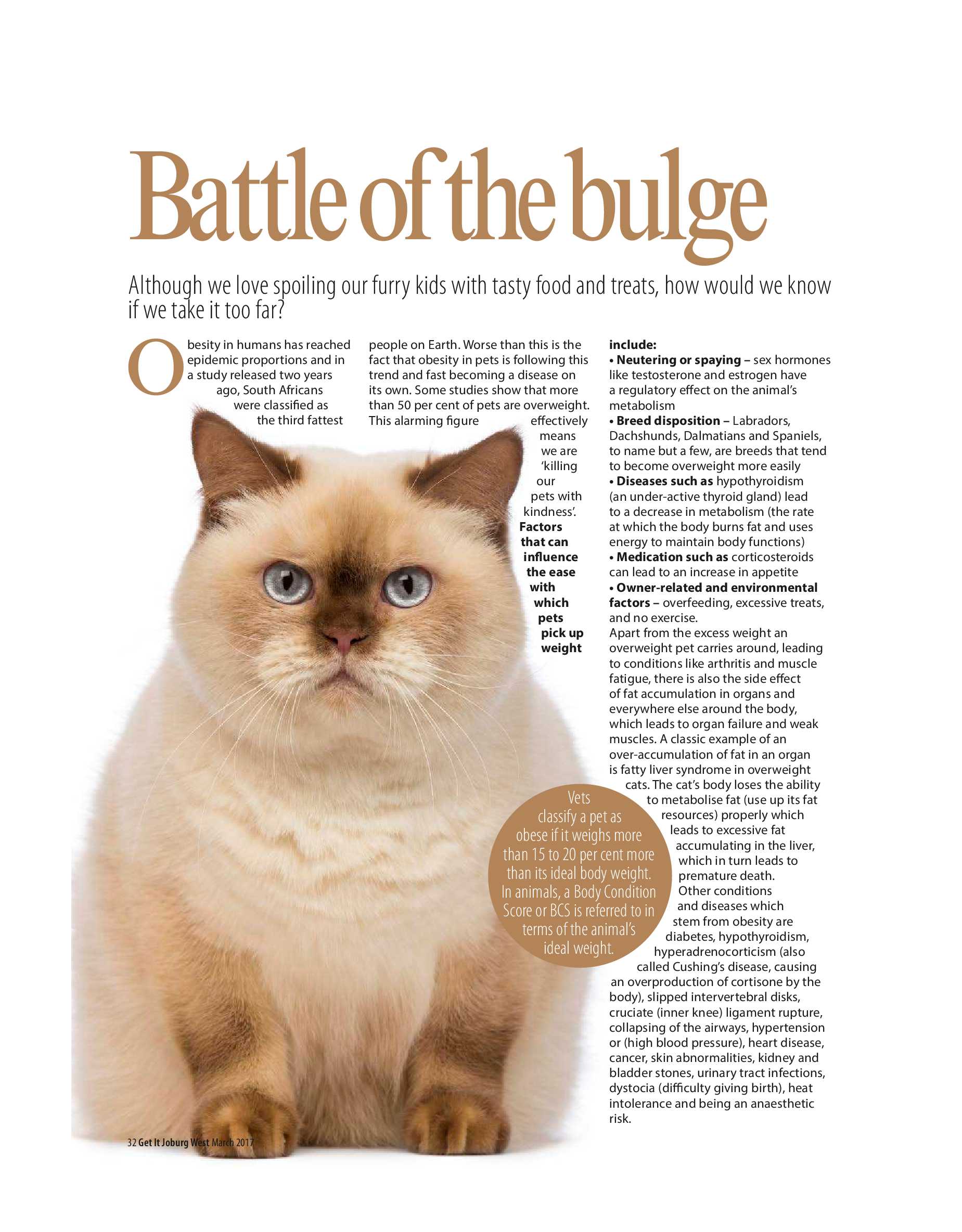 Get it JHB West March 2017 page 32