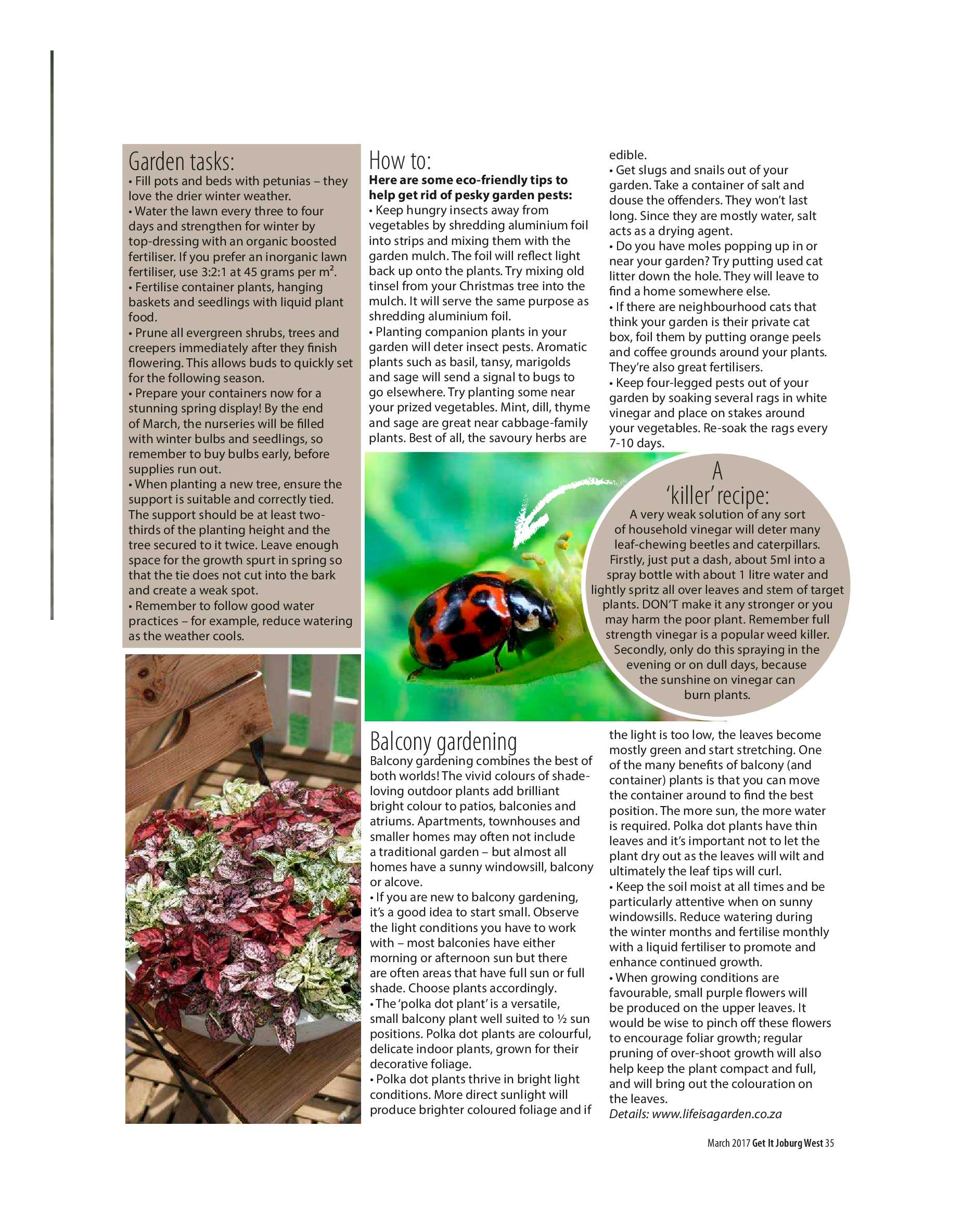 Get it JHB West March 2017 page 35