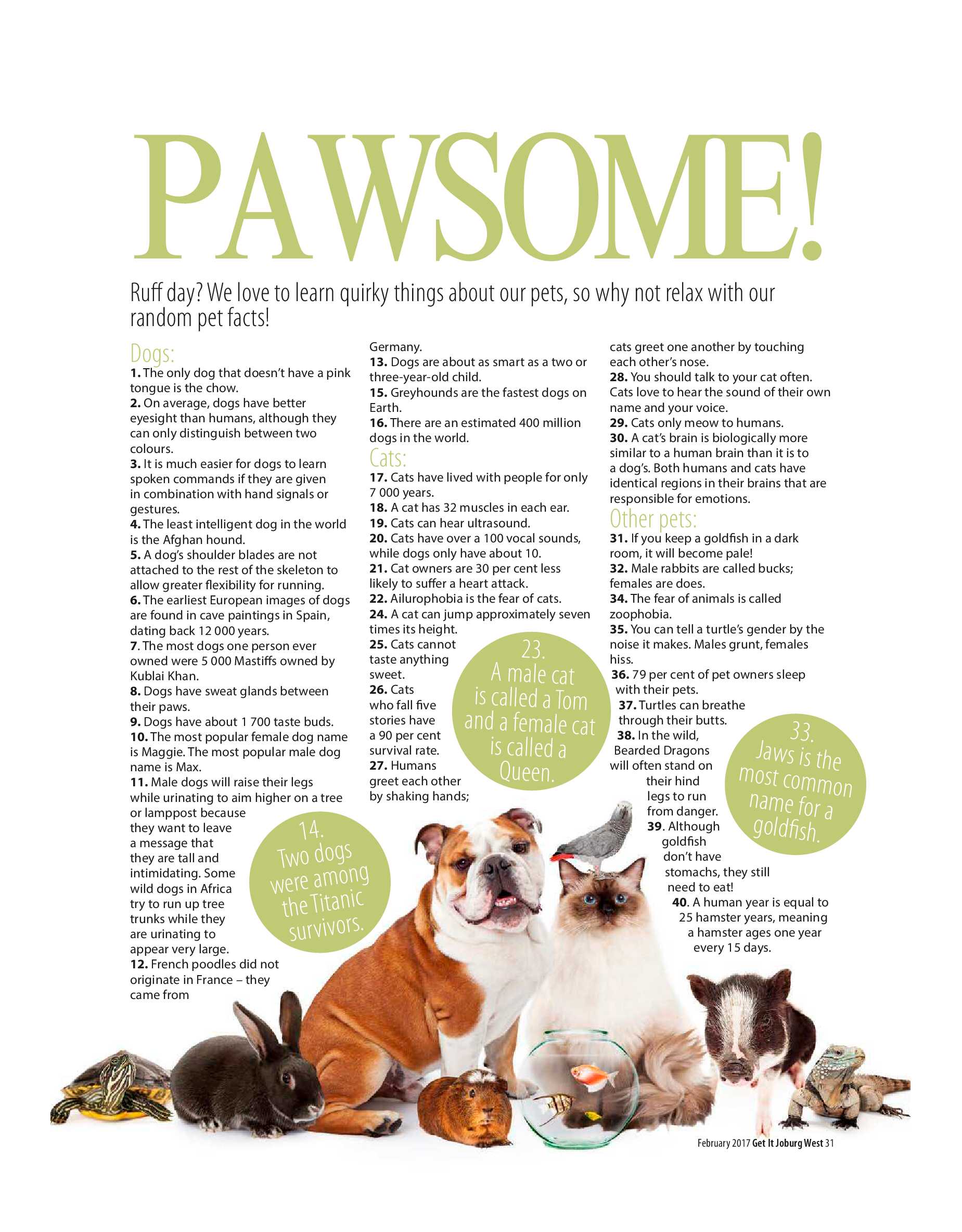 Get it Joburg West – February 2017 page 31