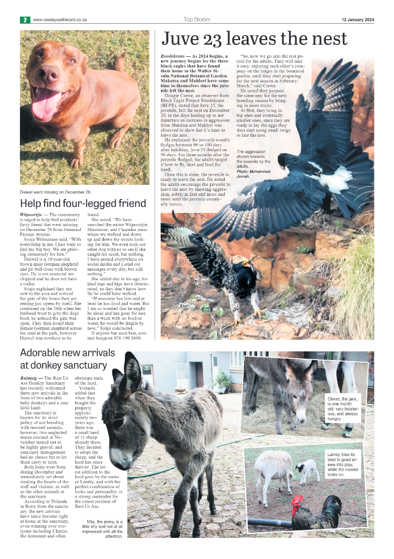 Roodepoort Northsider 12 January 2024 page 2