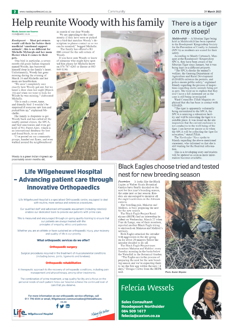 Roodepoort Northsider 31 March 2023 page 2