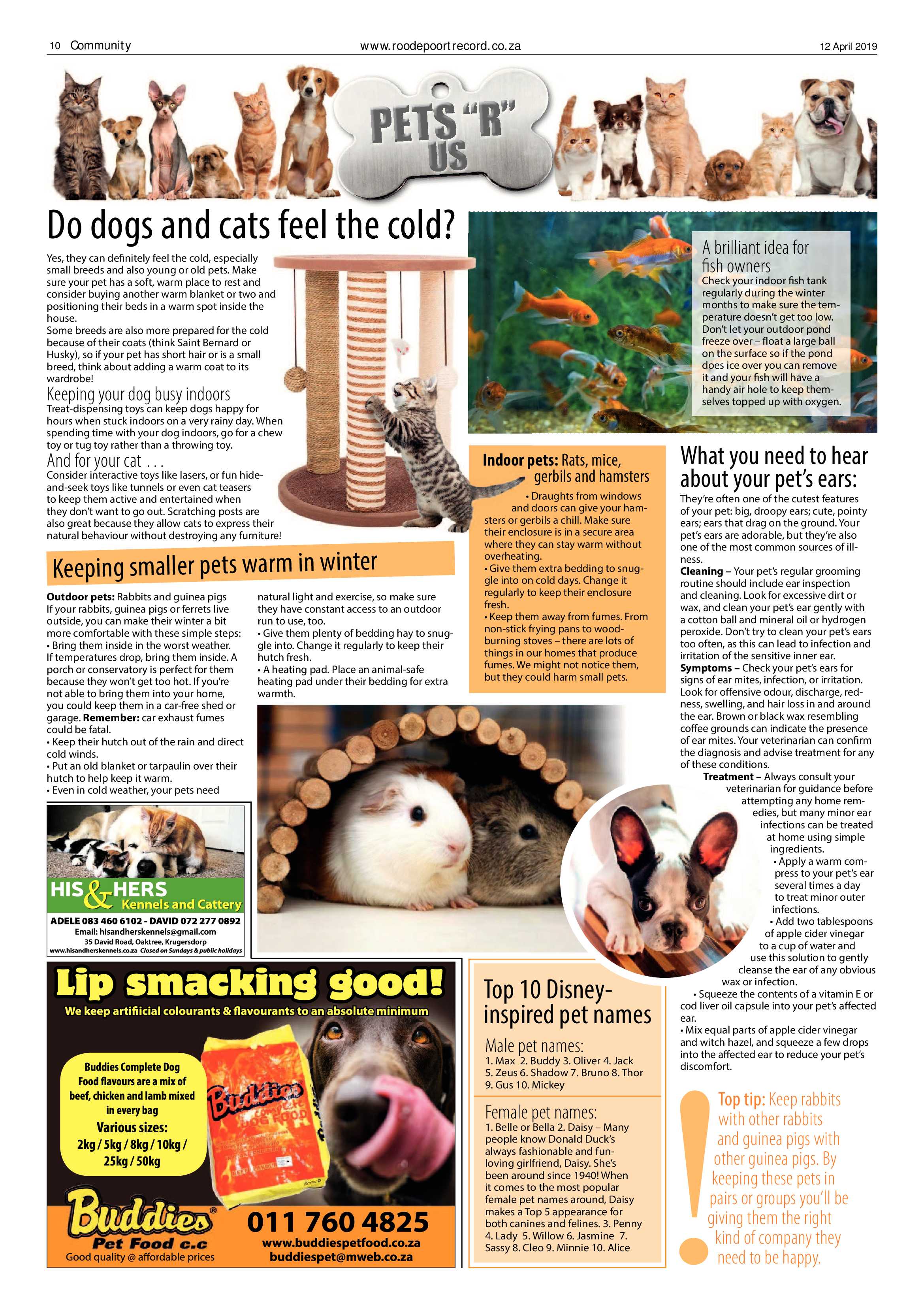 Roodepoort Record 12 April 2019 page 10