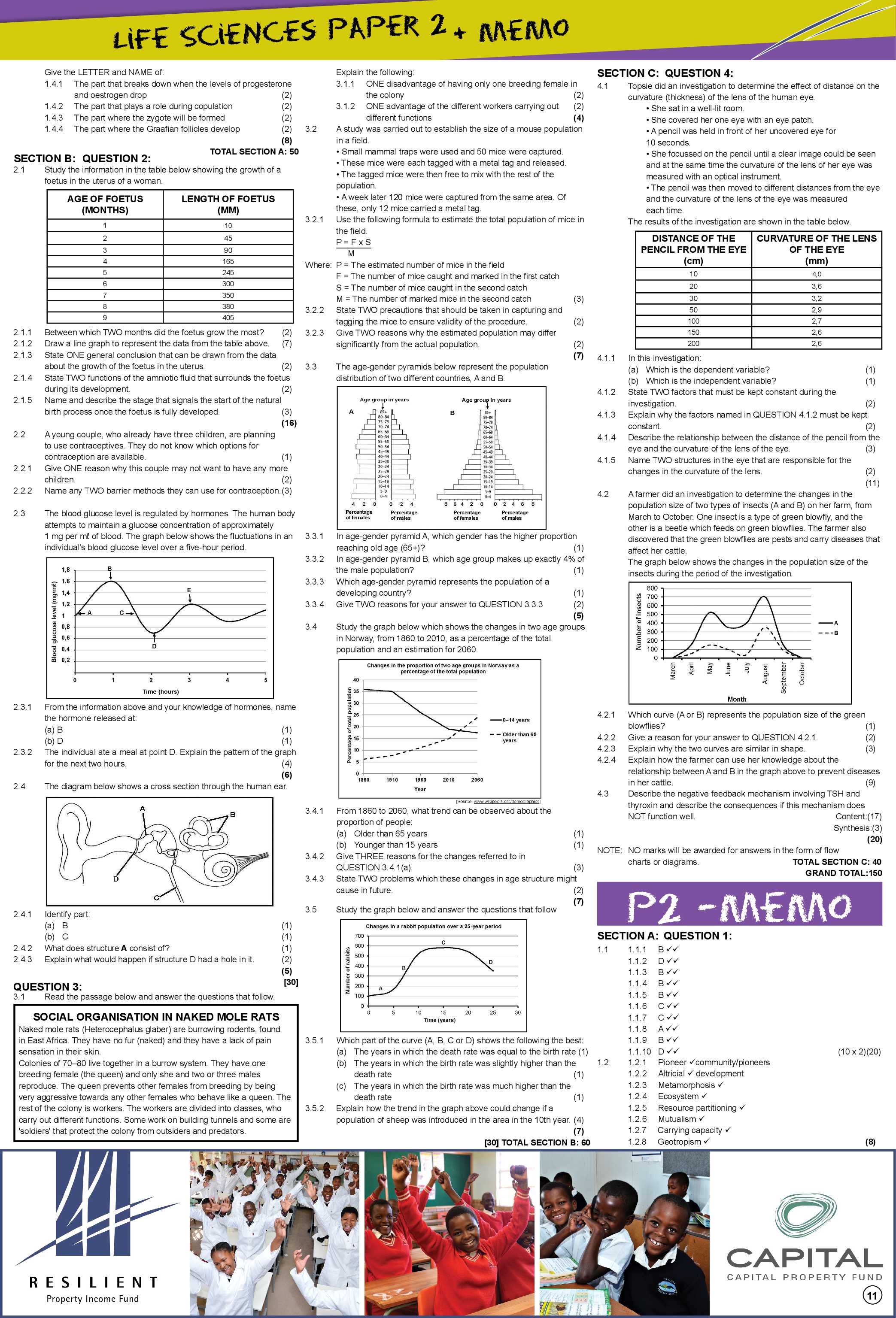 Load Shedding Feature page 12